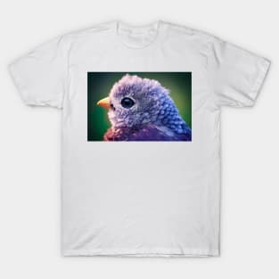 Cute fluffy bird design T-Shirt